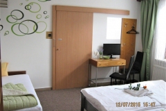 Loznice_televize_uzbrodku